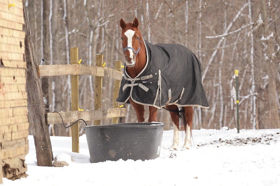 Should Horses Be Blanketed In The Winter Horses Afield